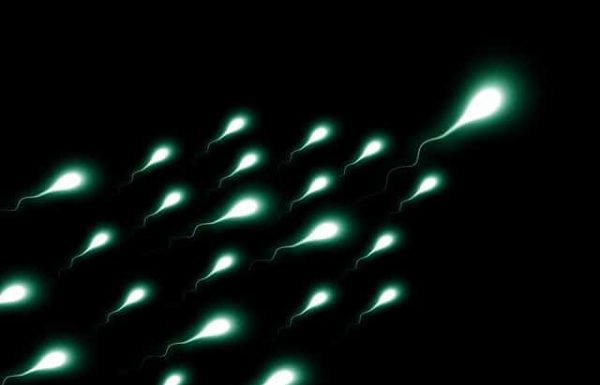 איך לתרום זרע