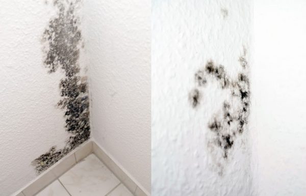 כיצד למנוע עובש בבית